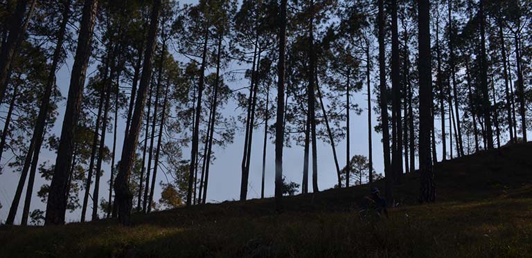 ranikhet